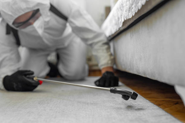 Professional Cockroach Control technician working in Roland, AR